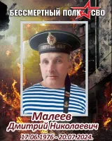 Малеев Дмитрий Николаевич — кадр 1